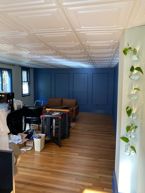 Modern office space with dark blue walls, decorative ceiling, wooden floors, brown couch, desk equipment, and hanging plants on right wall